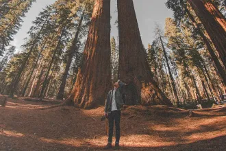 Man standing outside in a forest of tall redwood trees, looking up while he tries to Talk to God