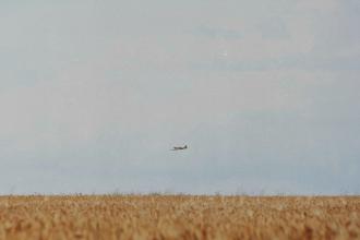A small airplane flies low over a wide golden field of tall crops under an open sky