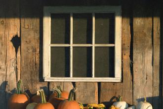 Assorted pumpkins arranged below a small window on the exterior wall of a rustic wooden building