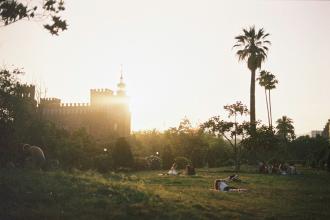 Sunlit park scene with visitors lounging on the lawn near palm trees and historic architecture