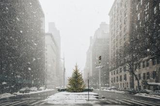 Snow falling over a lit Christmas tree placed on a median in a downtown winter scene