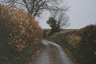 Winding path through countryside hedgerows with leafless trees in muted winter light