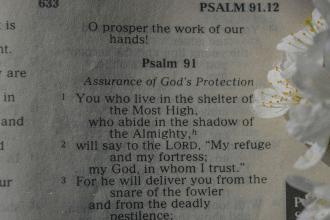 A close-up view of an open Bible showing the beginning of Psalm 91, with small white flowers resting along the page