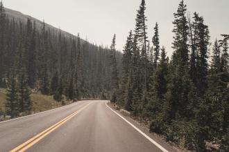 A two‑lane mountain road curves through a forest of tall evergreen trees