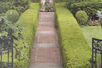 A neatly trimmed garden path with brick pavers is bordered by tall, manicured hedges and framed by an iron gate