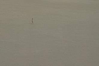 A single person walks across a vast, empty expanse of smooth sand, appearing small against the wide open landscape