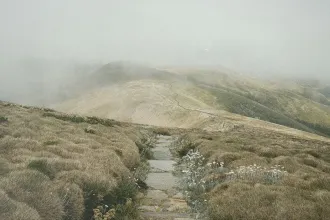 A stone path winds through grassy, windswept hills under a foggy, overcast sky