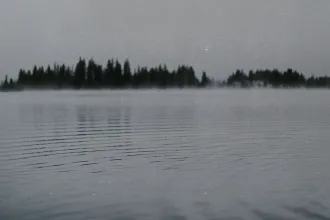 A small, mist-covered island lined with tall trees appears in the distance across a calm lake, with soft ripples moving across the water under a gray sky