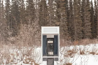 An outdoor public telephone booth standing alone in a snowy field, with leafless shrubs and tall evergreen trees in the background