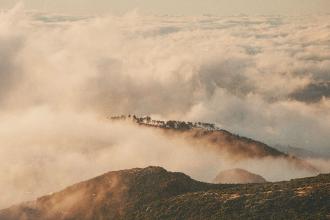 Priorities of Prosperity