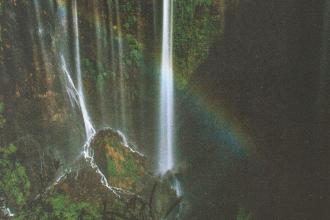 The Bridegroom Cometh