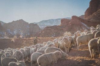 God's Will Is Liberty