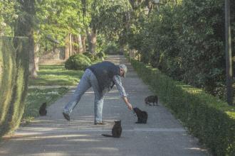 Compassion in Action