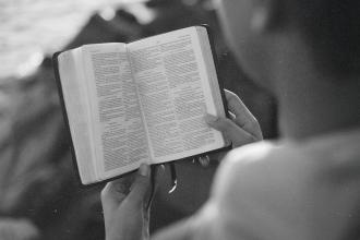 Person holding and reading an open Bible outdoors in soft, natural light