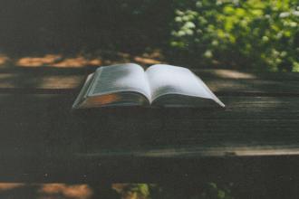 Open Bible resting on a wooden outdoor table with sunlight filtering through surrounding greenery