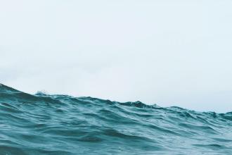 A gentle ocean wave rises against a pale sky, with soft light reflecting off the textured surface of the water