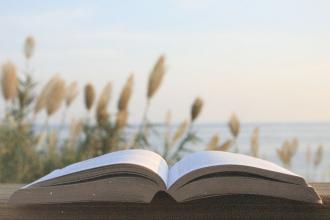 Open book resting on a wooden surface with tall grasses and a calm ocean in the background at sunrise