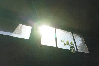 Bright sunlight streaming through a window, illuminating a small plant in a glass jar on the windowsill