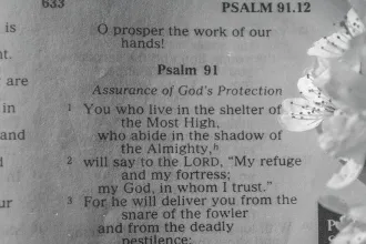 Open Bible displaying Psalm 91 with delicate white flowers resting beside the page