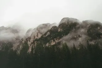 Misty mountains rising above a dense forest under an overcast sky