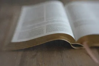 Open Bible resting on a wooden surface with pages slightly curved and soft natural light across the text