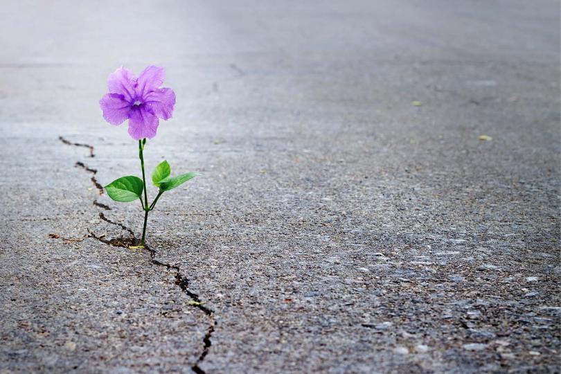 Where does faith come from?