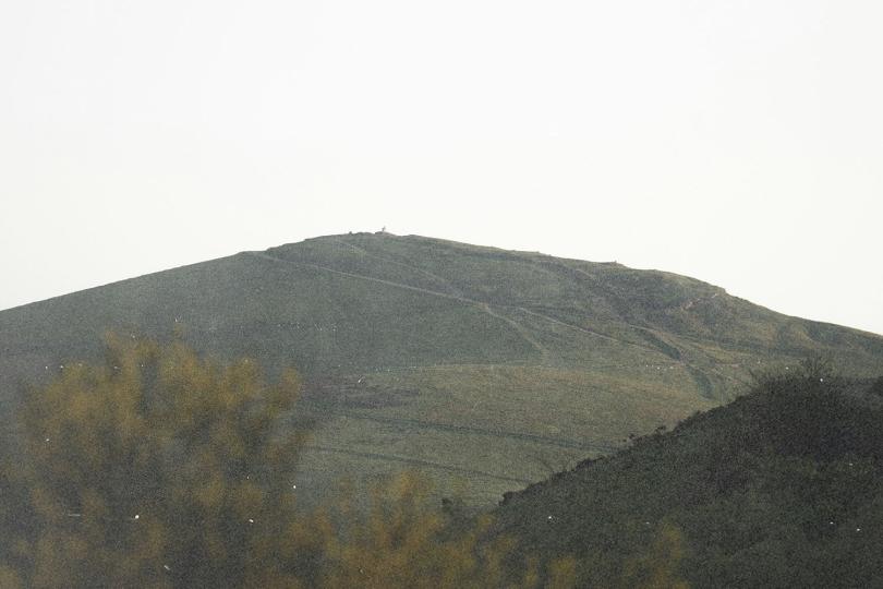Green hillside with winding paths leading across the slope under a bright, hazy sky