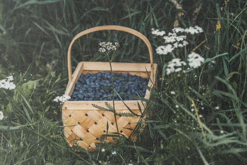 Blessings by the Bushel